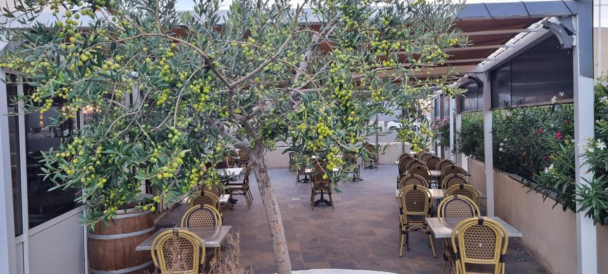 Hotel Restaurant Calypso Фо-сюр-Мер Екстериор снимка
